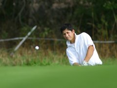 Auf dem Golfplatz (70kB)